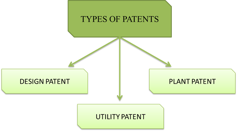 Type of Document